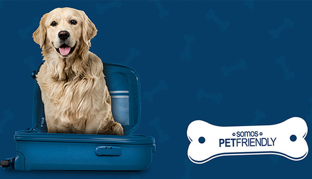 ¿quieres viajar con tu mascota? Hotel ILUNION Mérida Palace